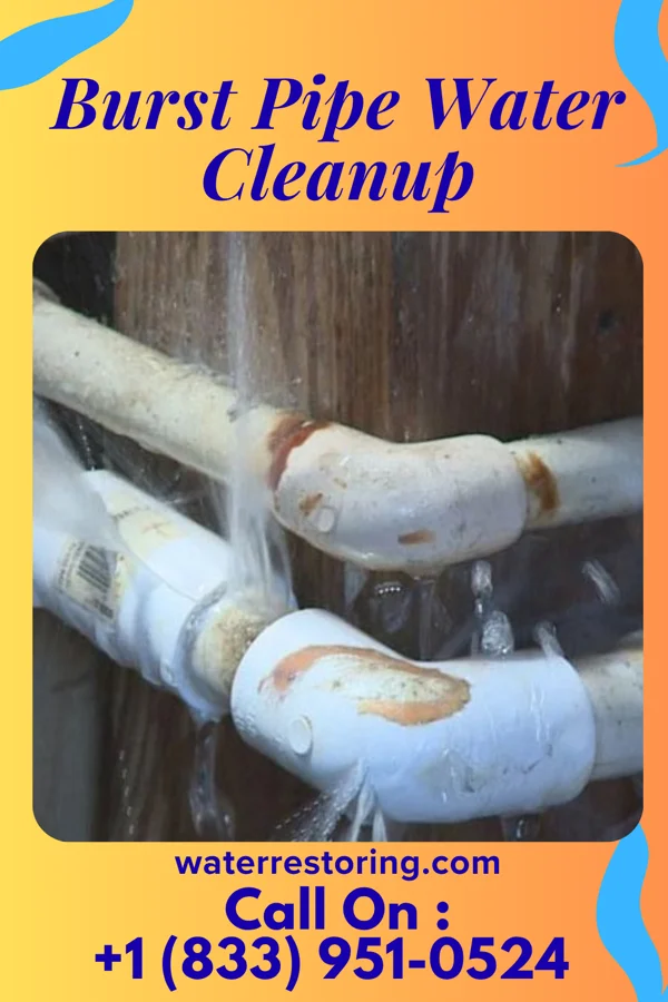 Burst Pipe Water Cleanup in Val Verde Park, TX