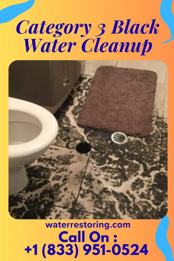 Category 3 Black Water Cleanup in Val Verde Park, TX