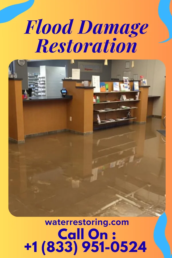 Flood Damage Restoration in Val Verde Park, TX
