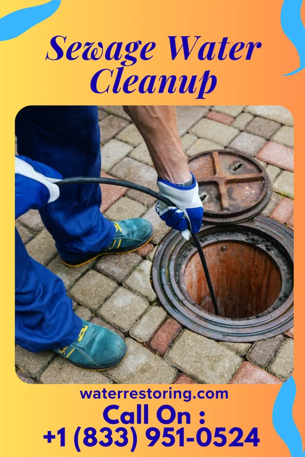 Sewage Water Cleanup in Val Verde Park, TX